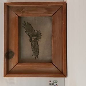 Vintage red hawk canvas beautiful wood frame